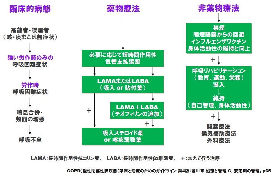 COPDの今:『呼吸』eレポート発刊時の現況